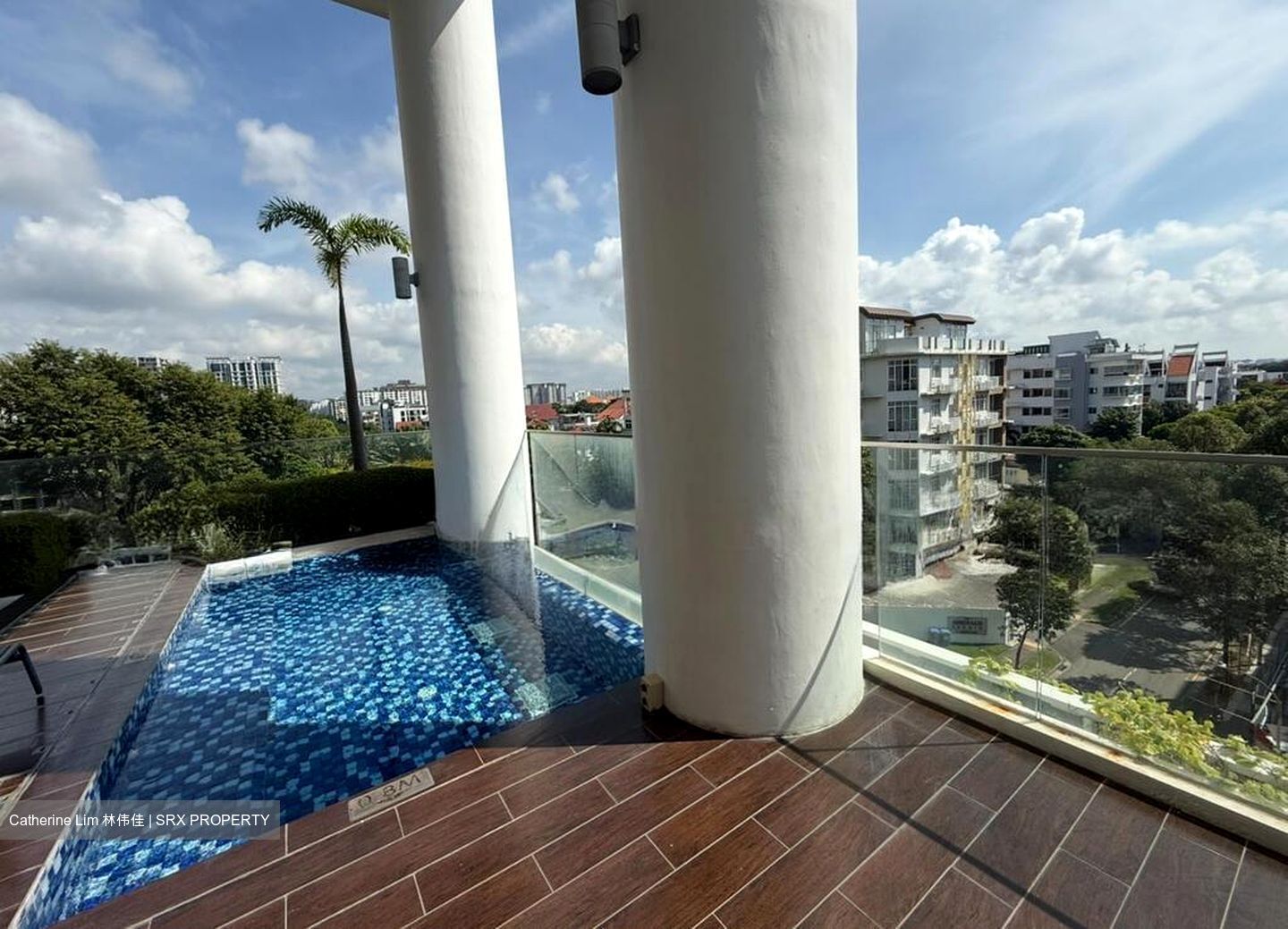 Haig 162 (D15), Apartment #496252621